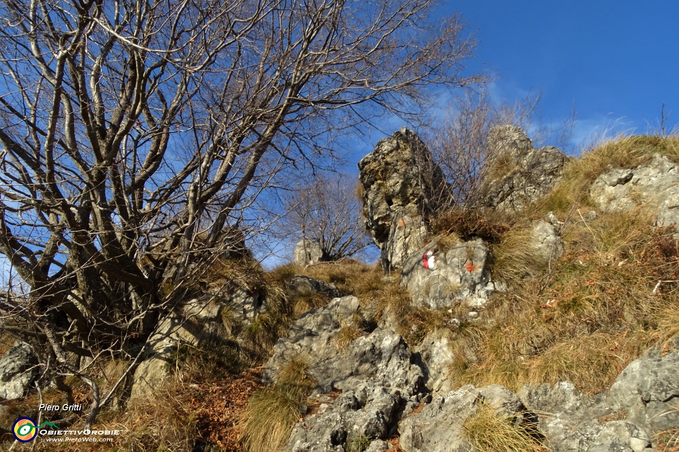 62 ...ed ora in decisa ripida salita anche su facili roccette.JPG